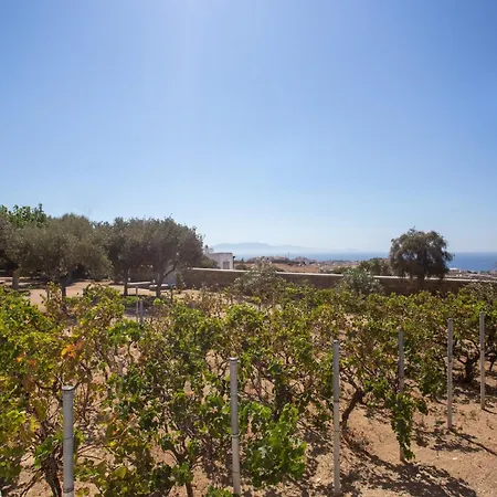 Ker Scorpios By Bestofmikonos